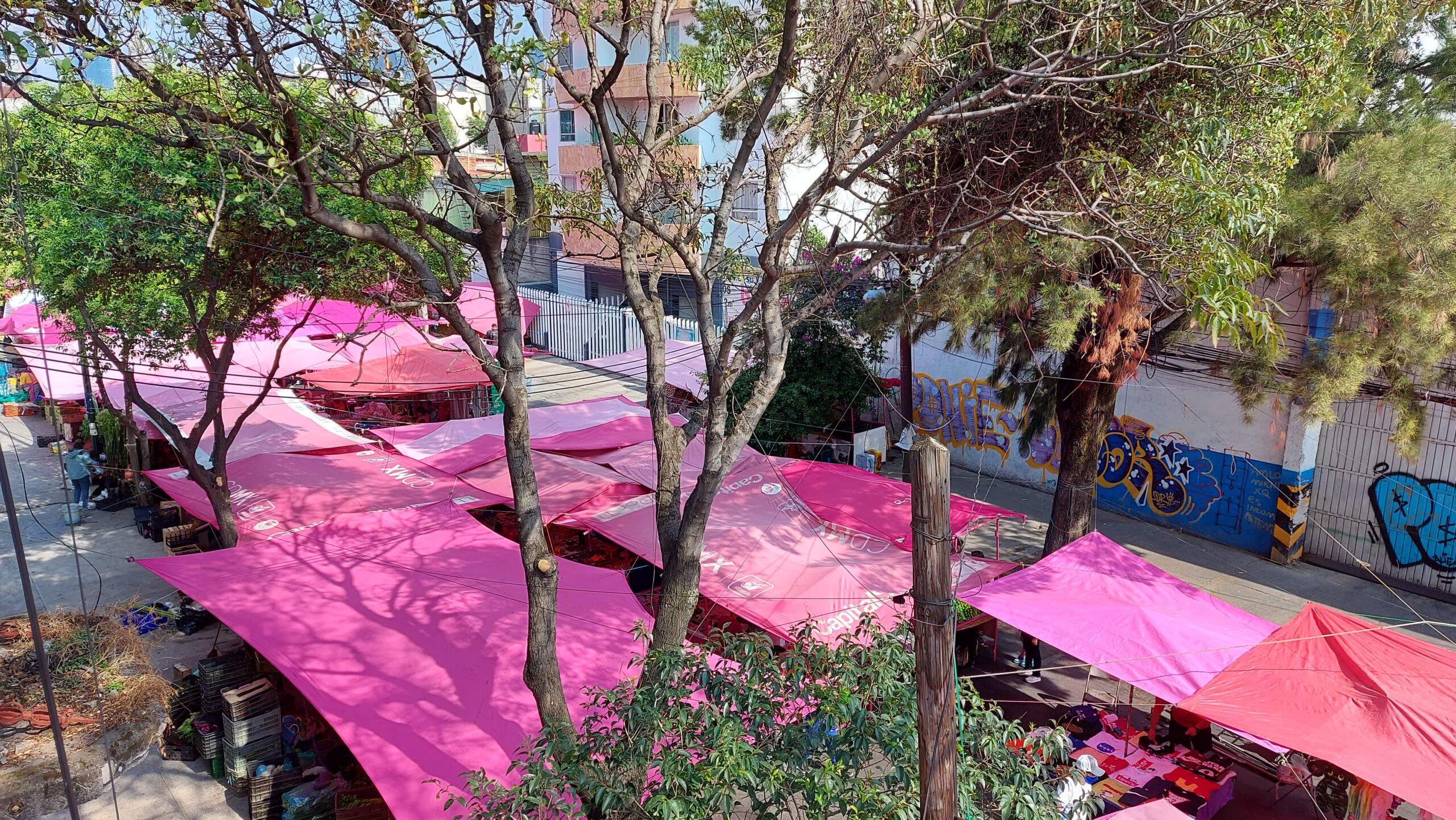 «Pensar (cosas en) el tianguis»